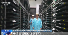 优、惠关税、强品牌 各地纷纷出台政策“ 优、惠关税、强品牌 各地纷纷出台政策“